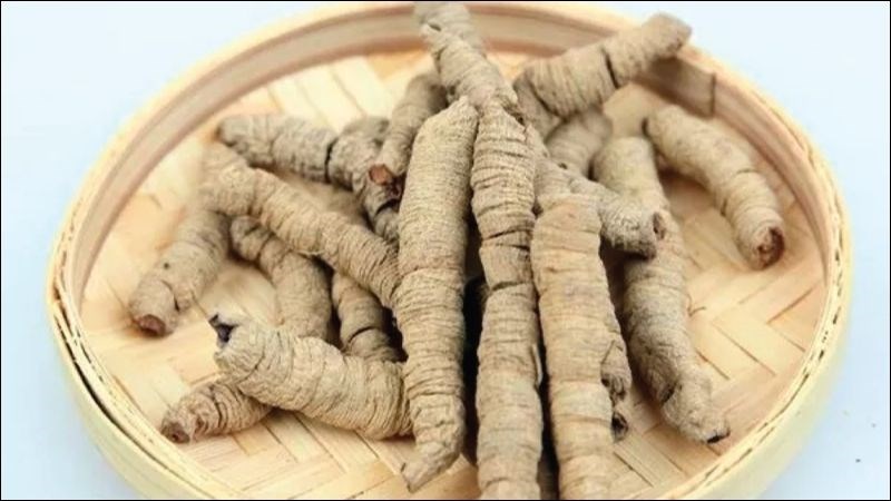 Anthranquinon là hoạt chất chính trong rễ ba kích