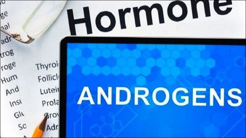 Các thành phần hoạt chất trong ba kích thúc đẩy quá trình tiết androgen
