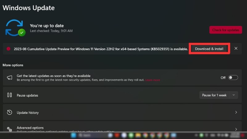 Chọn c&aacute;c driver cần cập nhật, sau đ&oacute; nhấn Download and install