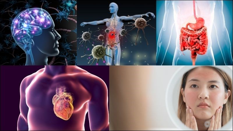 Chì gây ra những tác động lên nhiều hệ cơ quan trong cơ thể