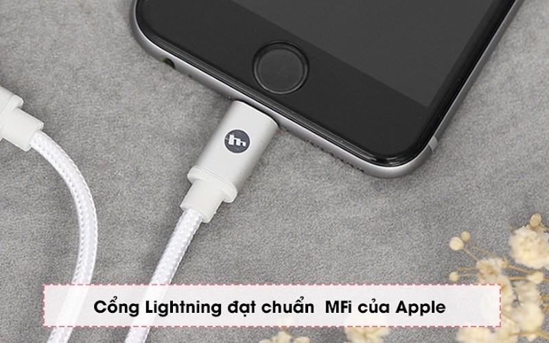 Các cổng kết nối đạt chuẩn MFi của Apple