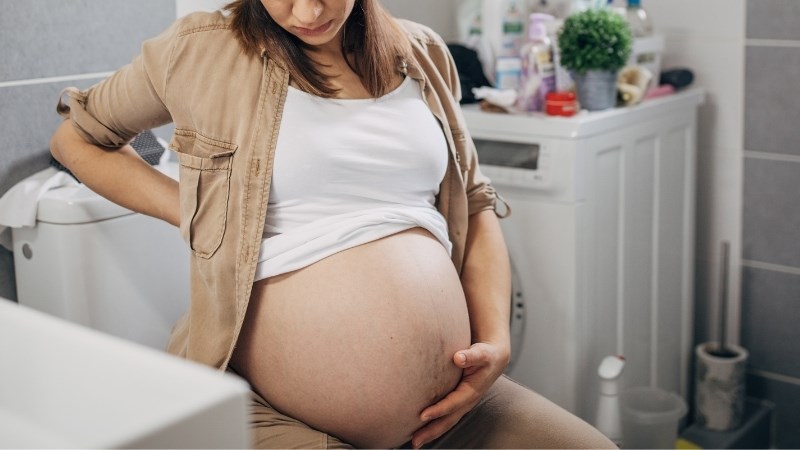 Hoàng bá giúp trị kiết lỵ ra máu ở phụ nữ mang thai