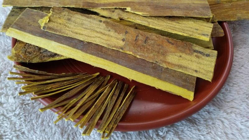 Trong vỏ cây hoàng bá có chứa berberin