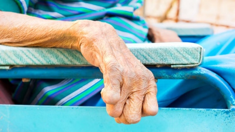 Hoàng bá sao vàng giúp trị bệnh phong