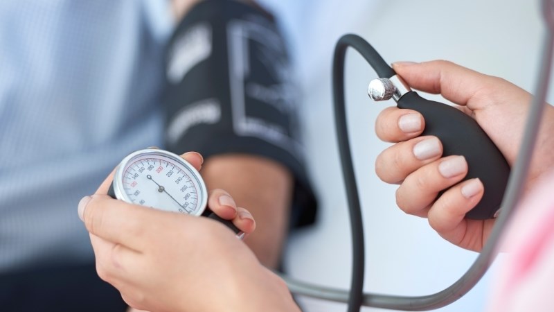 Trị cao huyết áp là một trong các công dụng của hoàng bá
