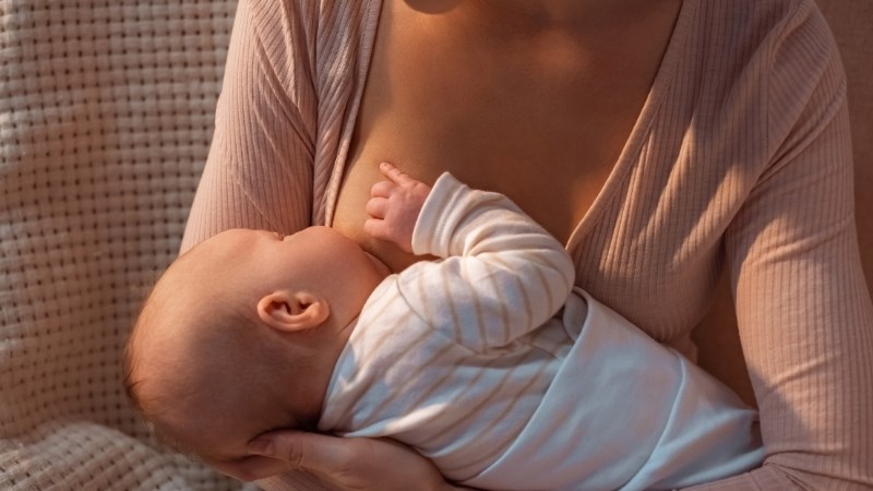 Phụ nữ cho con bú nên thận trọng khi sử dụng hoàng bá