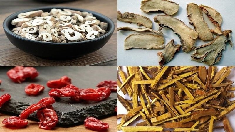 Cây hoàng bá có tính hàn, có tác dụng thanh nhiệt, giải độc, an thần tả hỏa