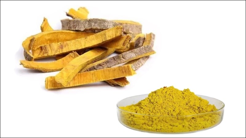 Vỏ cây hoàng bá có nhiều hoạt chất kháng viêm, kháng khuẩn