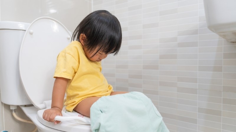 Hoàng bá có thể được dùng để trị viêm ruột cấp tính