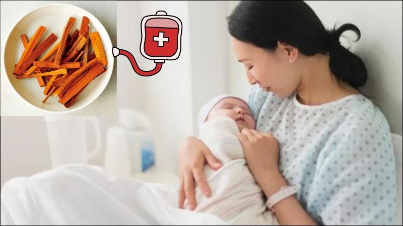 Tô mộc giúp bổ máu sau sinh cho thai phụ