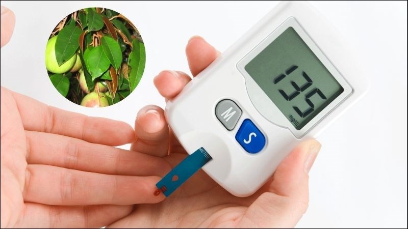 Uống nước l&aacute; v&uacute; sữa thường xuy&ecirc;n gi&uacute;p ổn định đường huyết