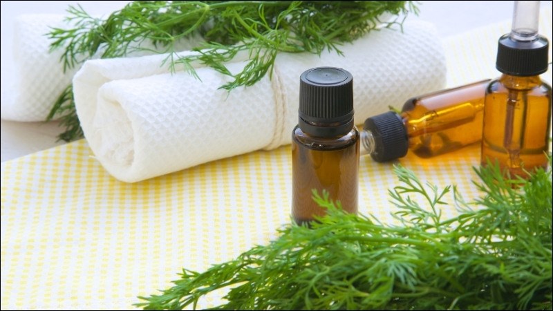 Rau thì là có chứa một số loại tinh dầu
