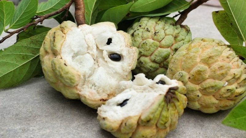 Không nên ăn na chưa chín, chín nẫu