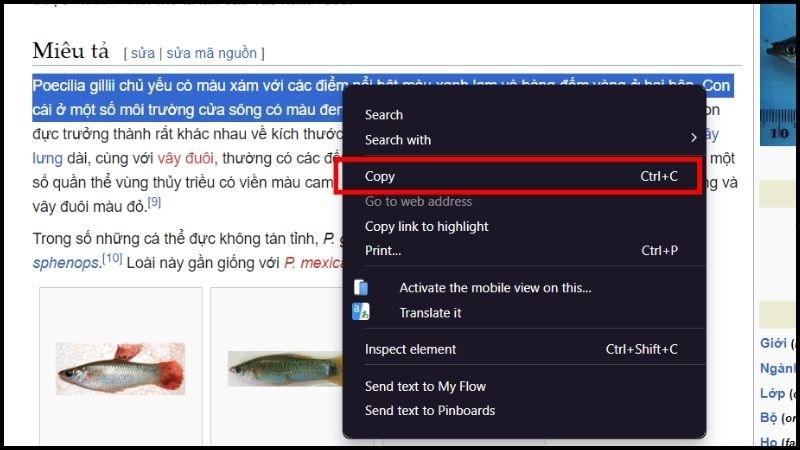 Chọn Sao chép (Copy) nhằm Sao chép đoạn văn phiên bản vừa phải quét