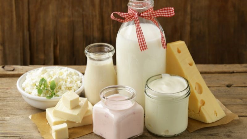 Sữa và các sản phẩm làm từ sữa là những thực phẩm giàu protein