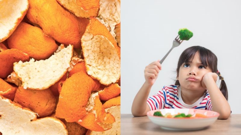 Bài thuốc trần bì trị kém ăn, suy nhược cơ thể