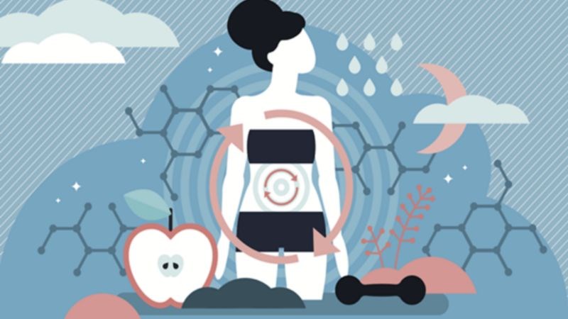 Vitamin B1 hỗ trợ cơ thể mang dưỡng chất đến c&aacute;c nang t&oacute;c