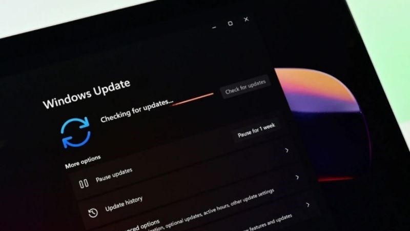 Nhiều người vẫn lựa chọn tắt update Win 11