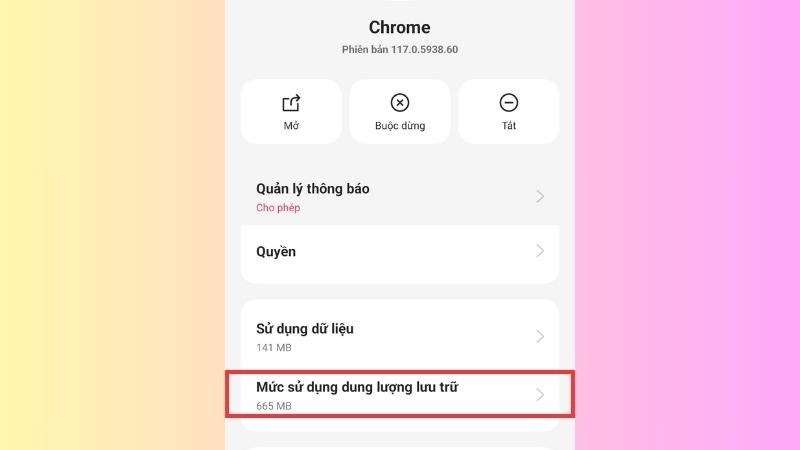 Chọn v&agrave;o Mức sử dụng dung lượng lưu trữ