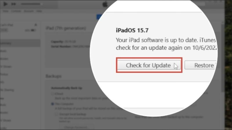 Chọn Check for Updates