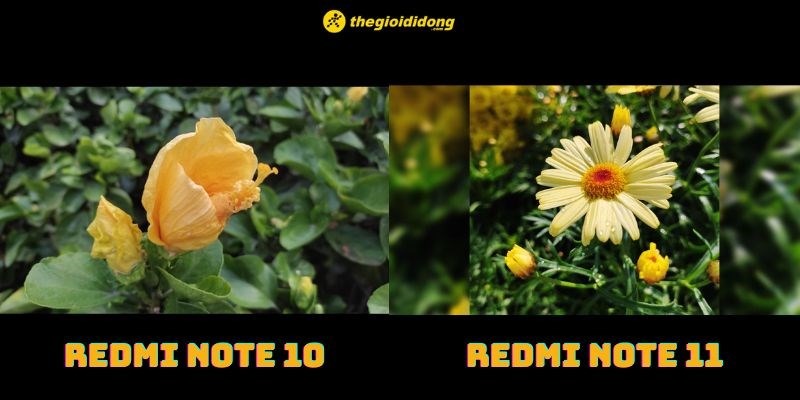 H&igrave;nh ảnh chụp x&oacute;a ph&ocirc;ng của Redmi Note 10 v&agrave; Note 11