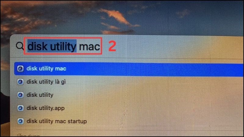 Nhập Disk Utility rồi bấm Enter