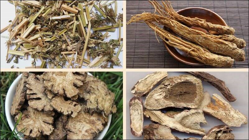 Ngâm nhục thung dung cùng một số loại dược liệu có thể chữa phụ nữ vô sinh