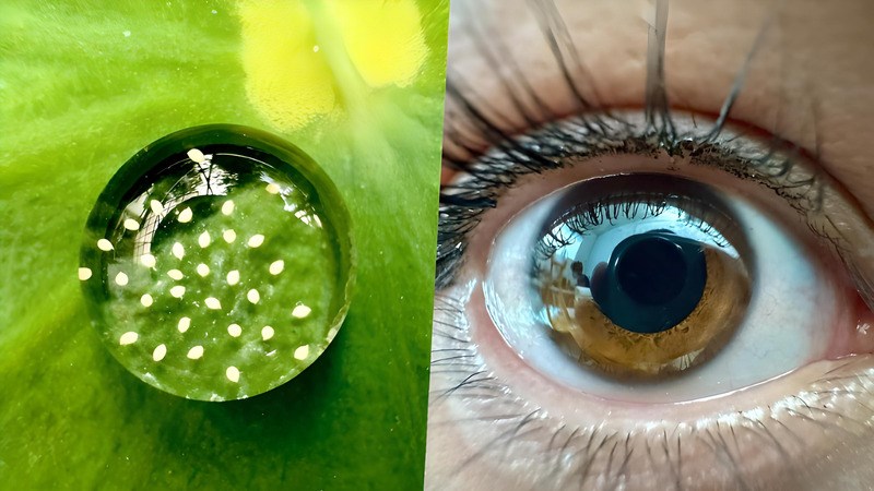 Đặc tả c&aacute;c chi tiết nhỏ nhất từ đối tượng trong khung h&igrave;nh