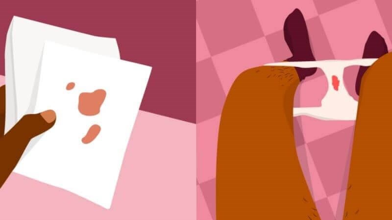 Trong khi mang thai, nếu xuất hiện chảy máu âm đạo, người bệnh nên nhanh chóng đến các cơ sở sản khoa để được chẩn đoán và điều trị