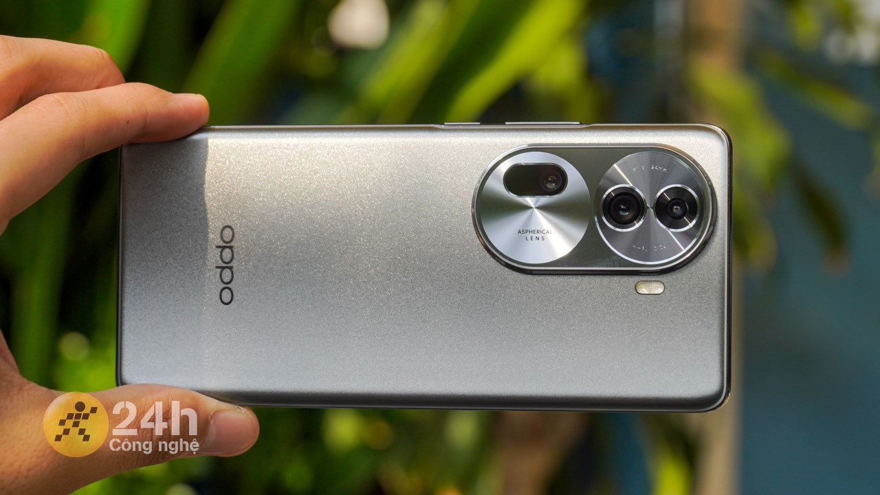 Mặt lưng Mặt lưng