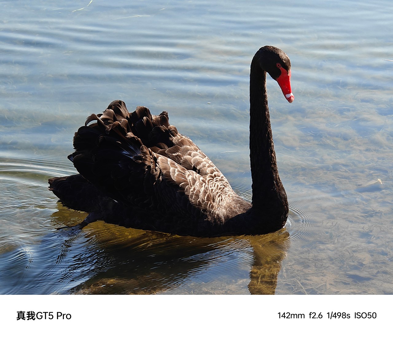 Ảnh chụp từ realme GT5 Pro. Nguồn: Weibo. Ảnh chụp từ realme GT5 Pro. Nguồn: Weibo.