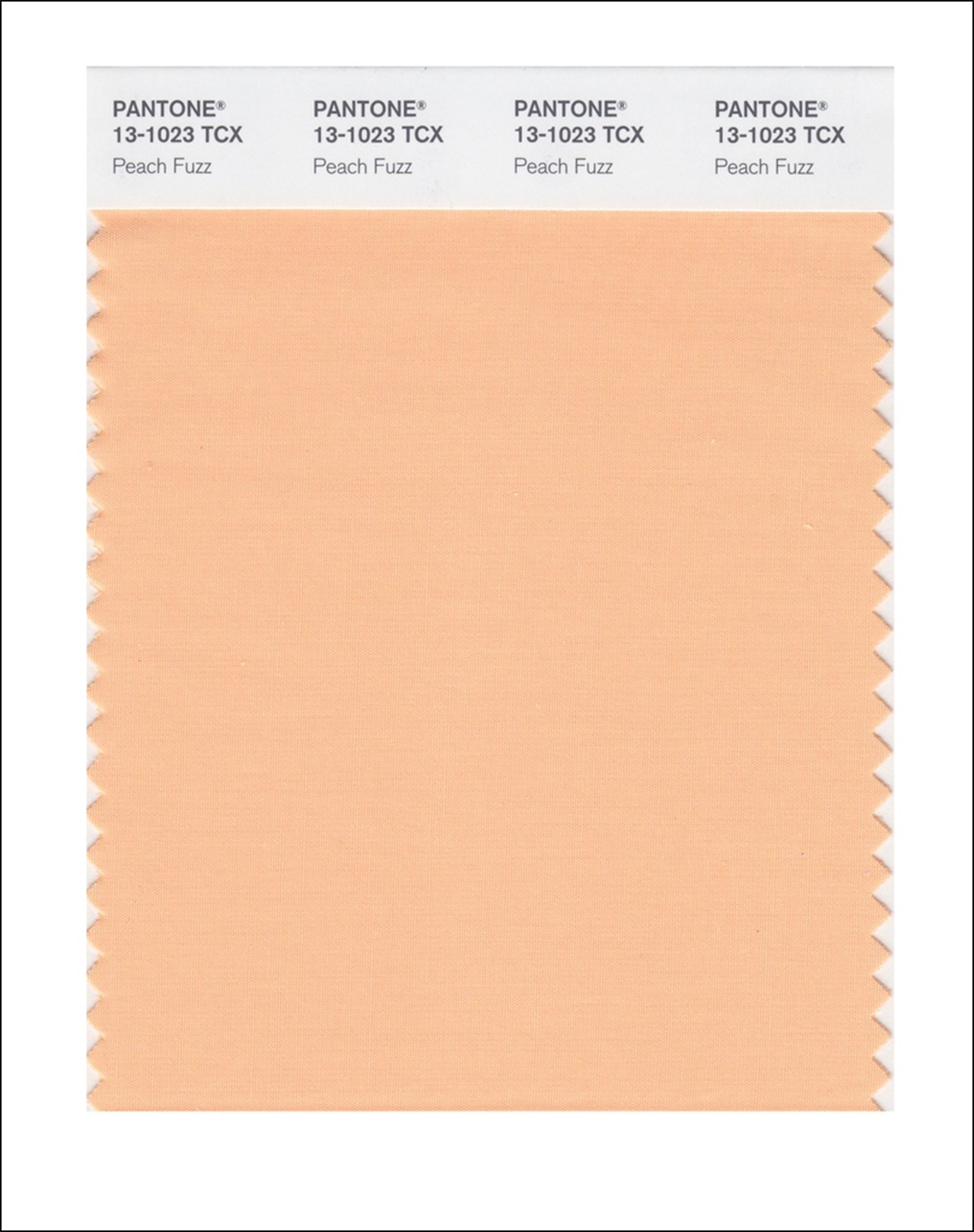 Màu Peach Fuzz mang đến cảm hứng về việc gắn kết con người 