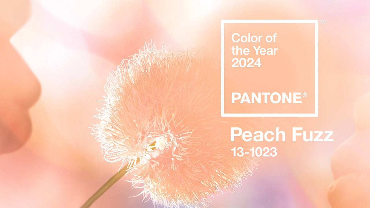 Màu Peach Fuzz được Pantone công bố có tên mã là 13-1023 