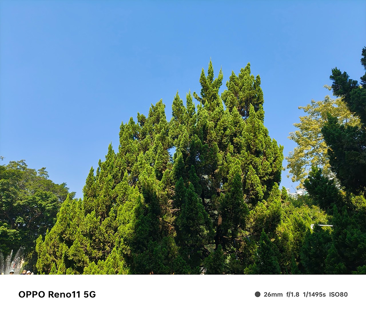Ảnh chụp bởi camera chính 50 MP của OPPO Reno11 Ảnh chụp bởi camera chính 50 MP của OPPO Reno11