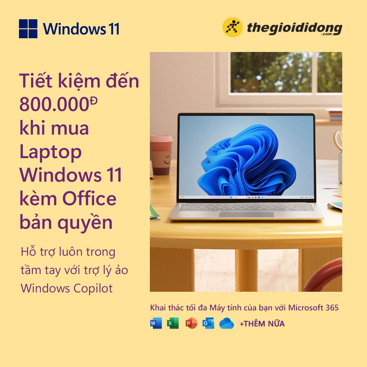 Windows 11