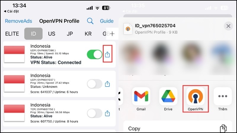 Sao chép cấu hình VPN sang ứng dụng OpenVPN Connect.