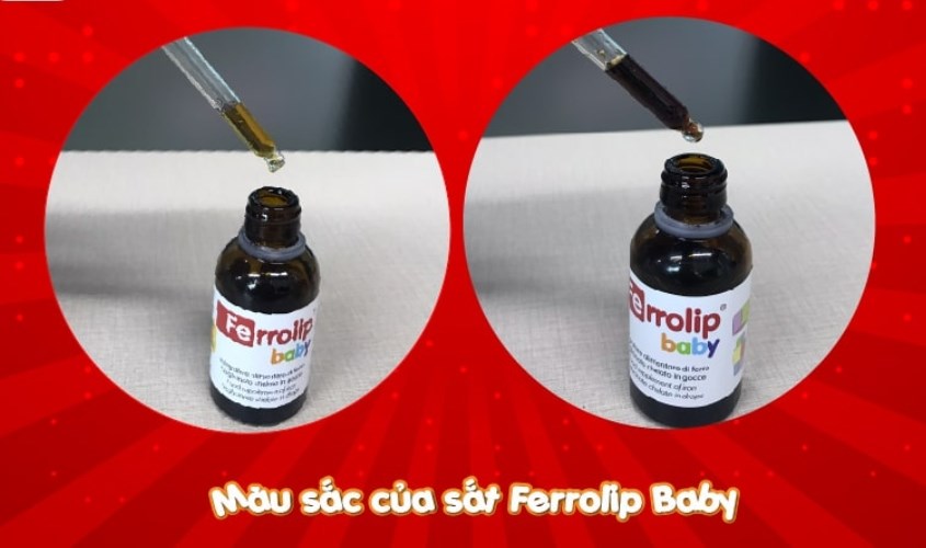 Màu sắc của Ferrolip Baby thông thường