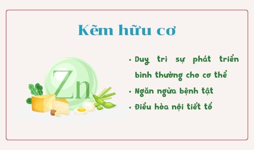 Kẽm hữu cơ đem lại nhiều lợi ích cho sức khỏe