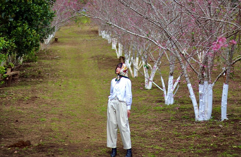 Ghé Măng Đen vui Tết ở làng