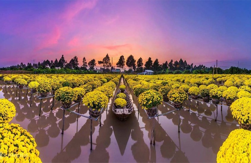 Về làng hoa Sa Đéc rực rỡ đón xuân tại Đồng Tháp