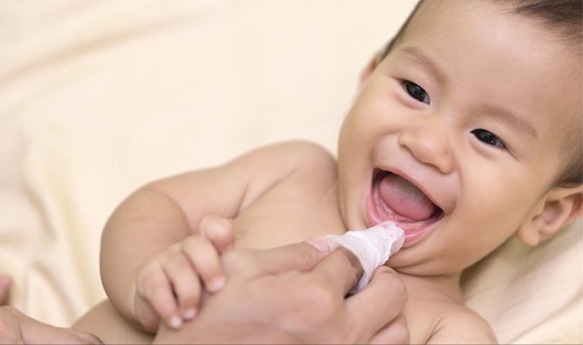Xoa nhẹ vùng nướu sưng tấy bằng gạc cho các bé đang mọc răng 