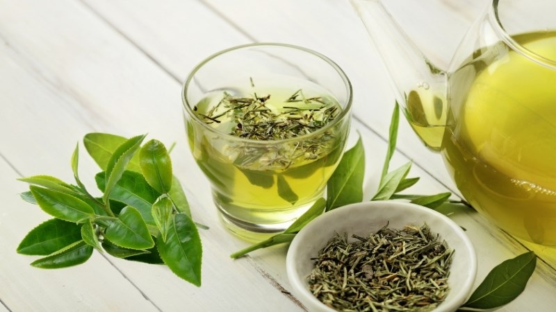 Trà xanh giúp cải thiện chức năng gan