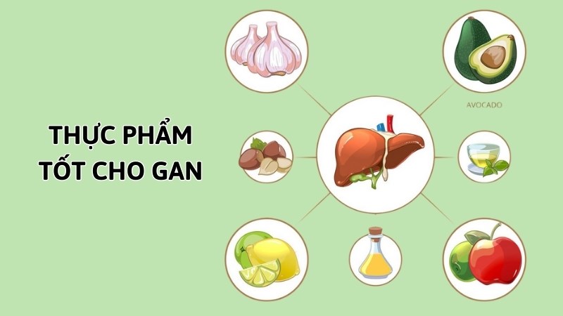 Ăn các loại thực phẩm tốt cho gan giúp cải thiện và ngăn ngừa sự tiến triển của bệnh gan