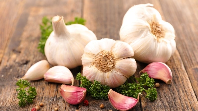 Tỏi là thực phẩm quan trọng trong chế ăn của người bệnh gan