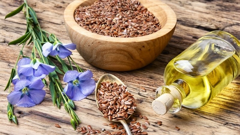 Hạt lanh được khuyến nghị dùng cho người mắc gan nhiễm mỡ không do rượu