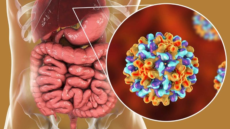 Viêm gan B là bệnh về gan có thể lây truyền