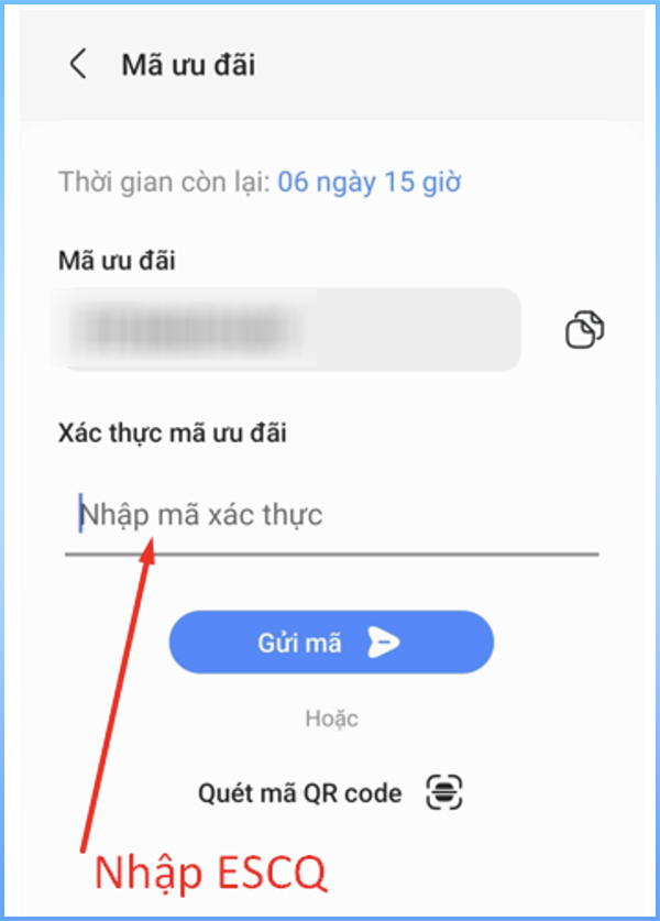 Sao chép mã ở mục Mã ưu đãi
