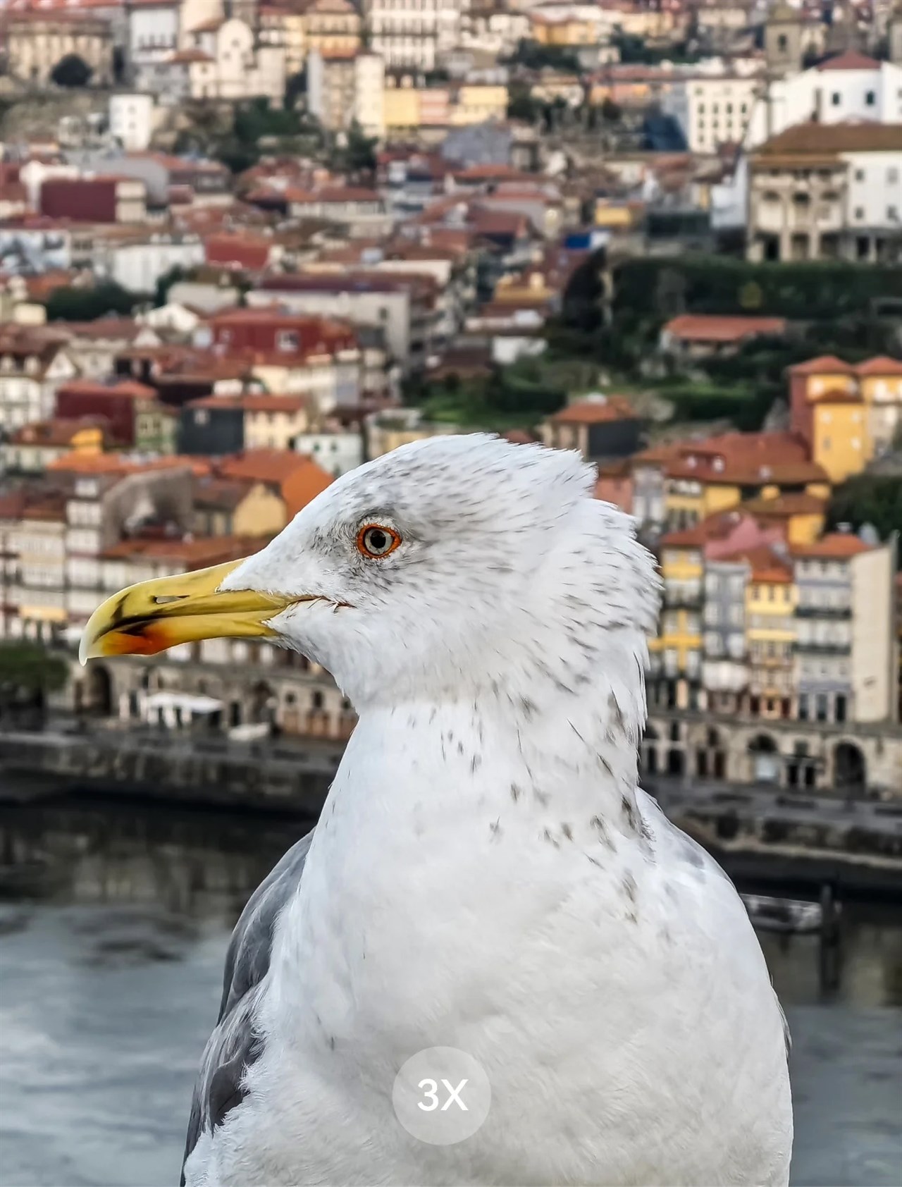 Ảnh chụp 3x trong điều kiện đủ sáng từ camera tele 8 MP của Huawei Pocket 2. Nguồn: Huawei.