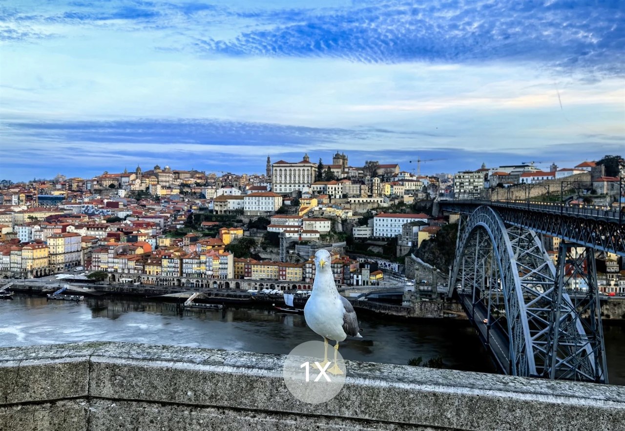 Ảnh chụp 1x trong điều kiện đủ sáng từ camera tele 8 MP của Huawei Pocket 2. Nguồn: Huawei.