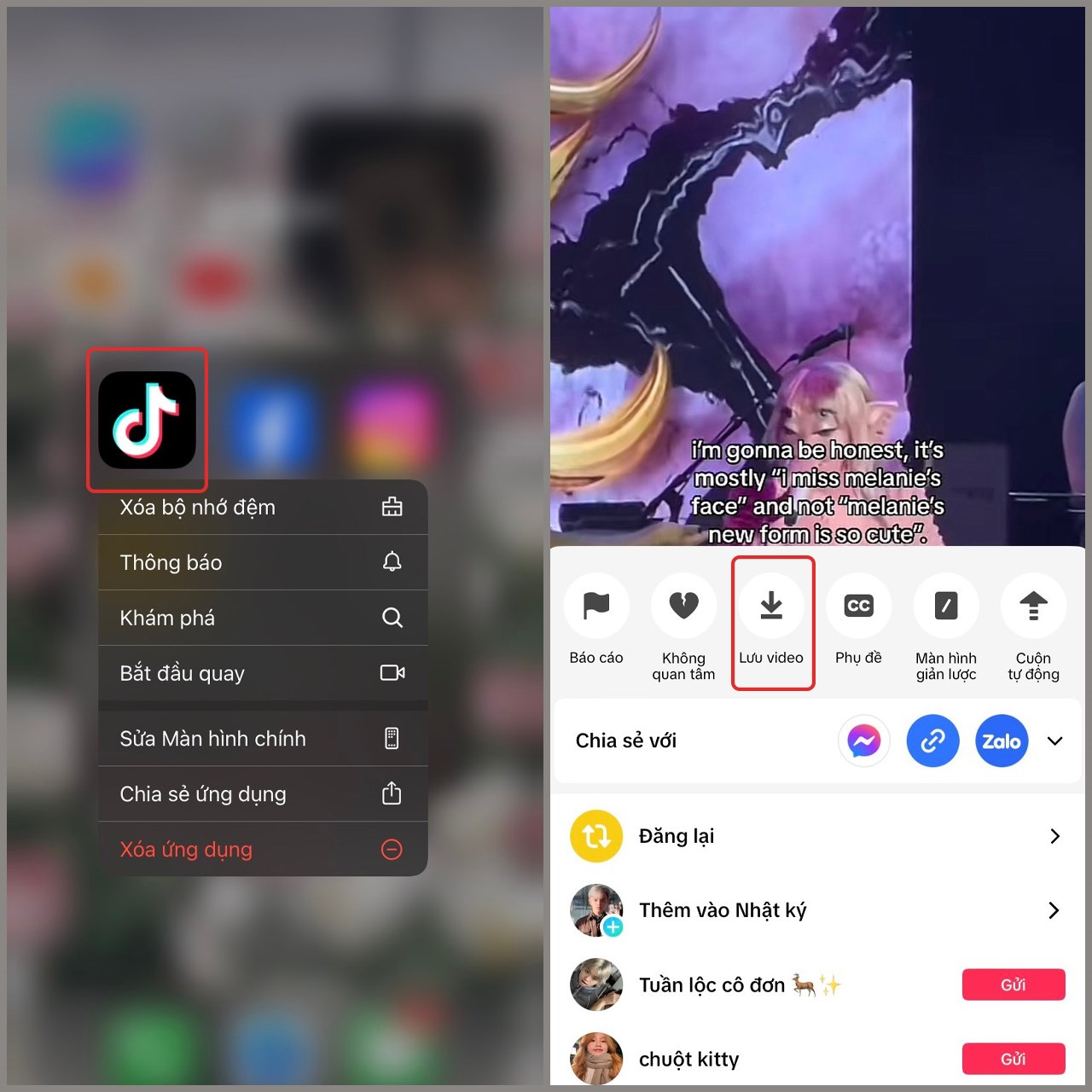 Cách tải nhạc từ video TikTok 